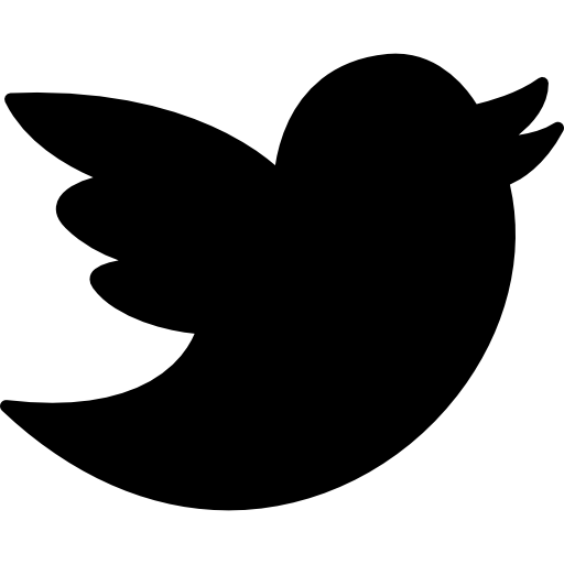 X Icon